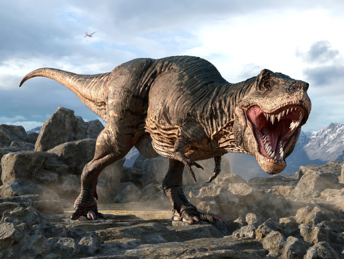 T. rex dinosaures vélociraptors