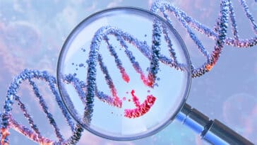 Crispr ADN génétique 2025