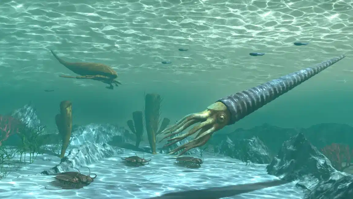 Ordovicien extinction