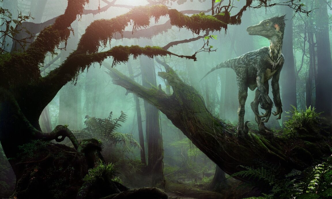 dinosaures vélociraptor