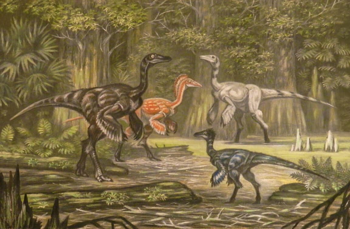 dinosaures