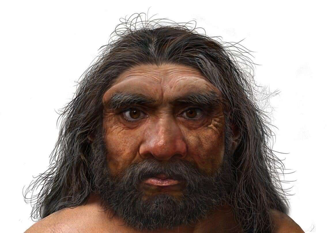 homme dragon dénisovien