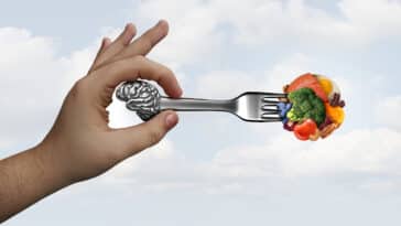alimentation cerveau