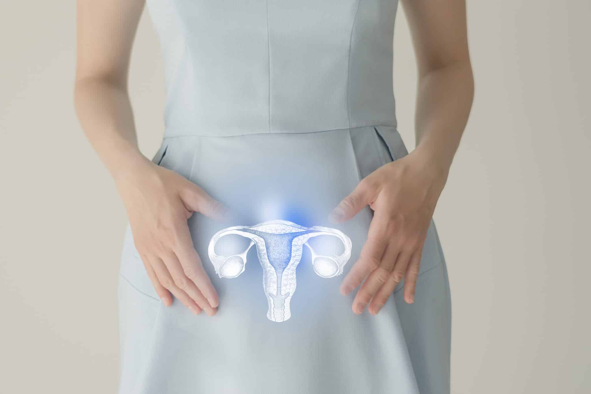 utérus fausses couches