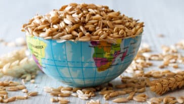 alimentation mondiale