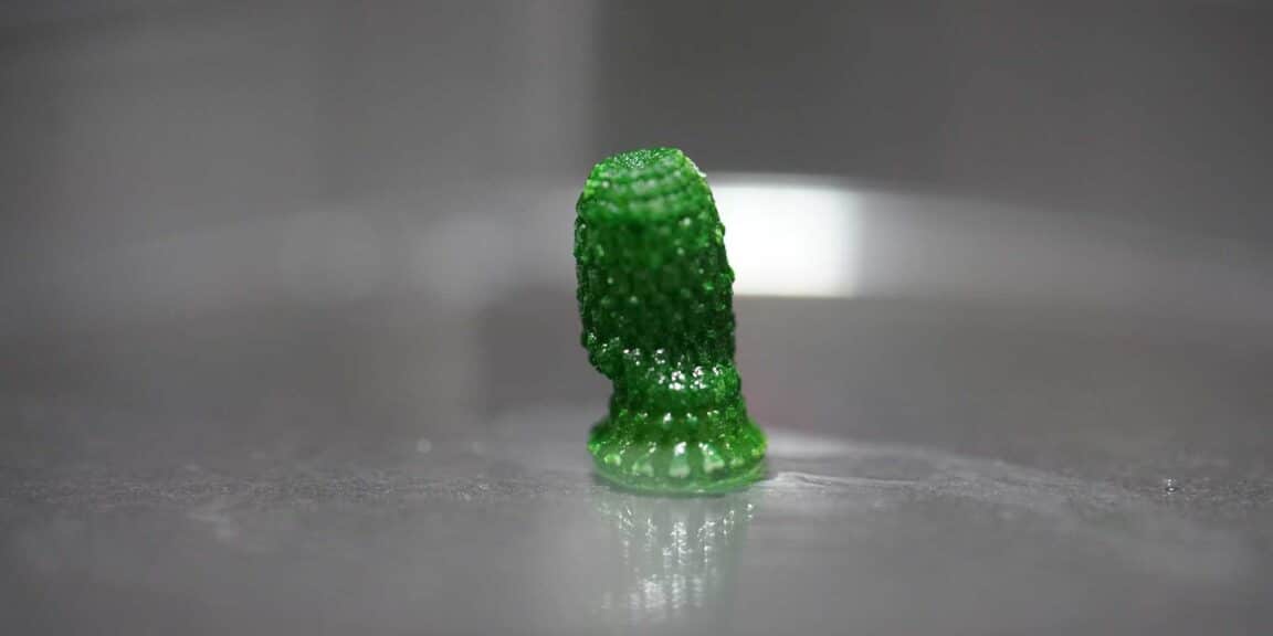 algues co2 matériau bâtiments