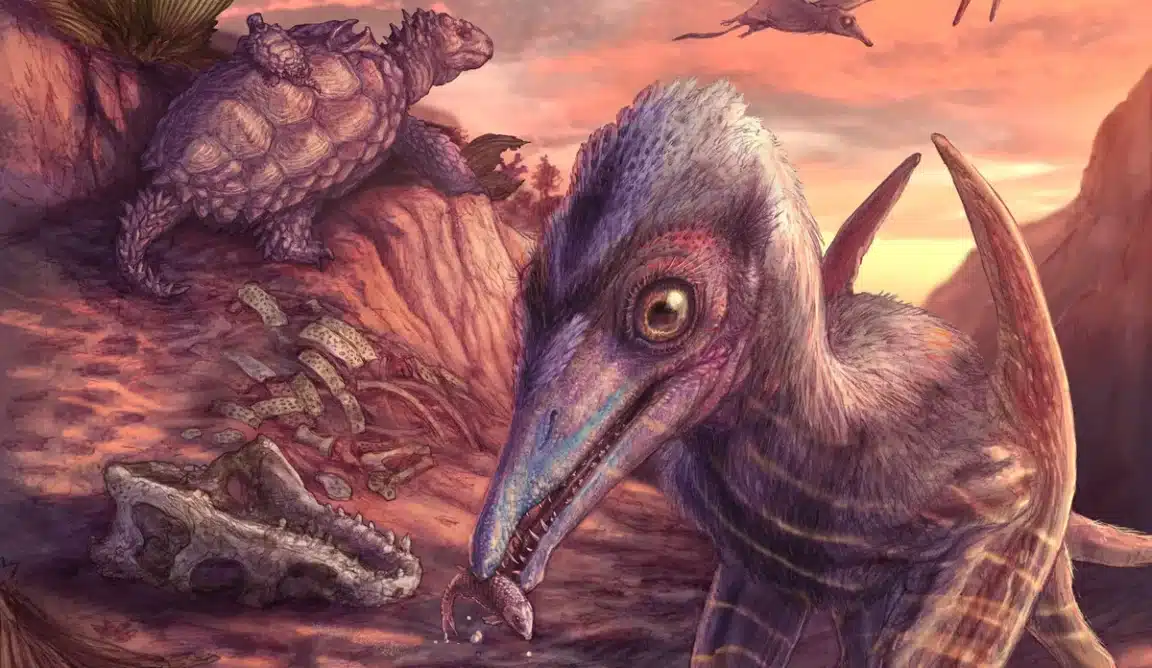 Eotephradactylus mcintireae ptérosaure