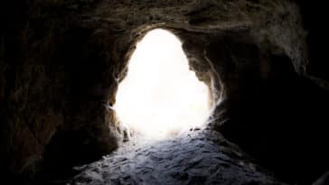 Homo antecessor grotte cannibales