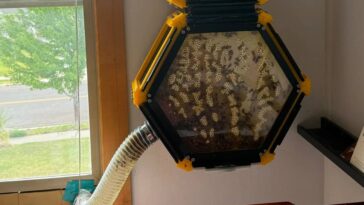 ruche 3D abeilles
