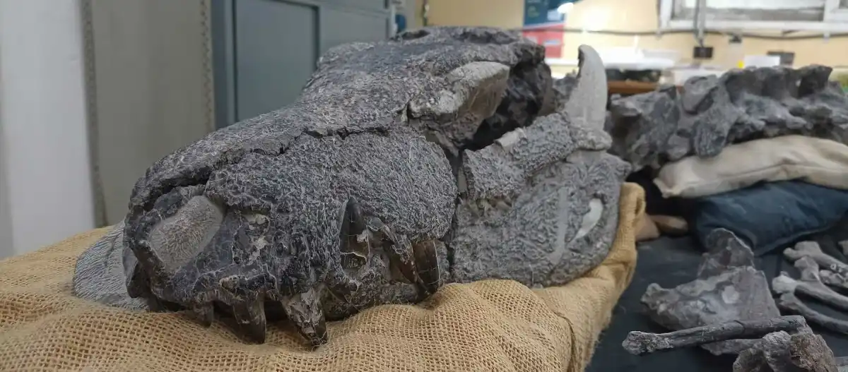 Kostensuchus atrox crocodile dinosaures