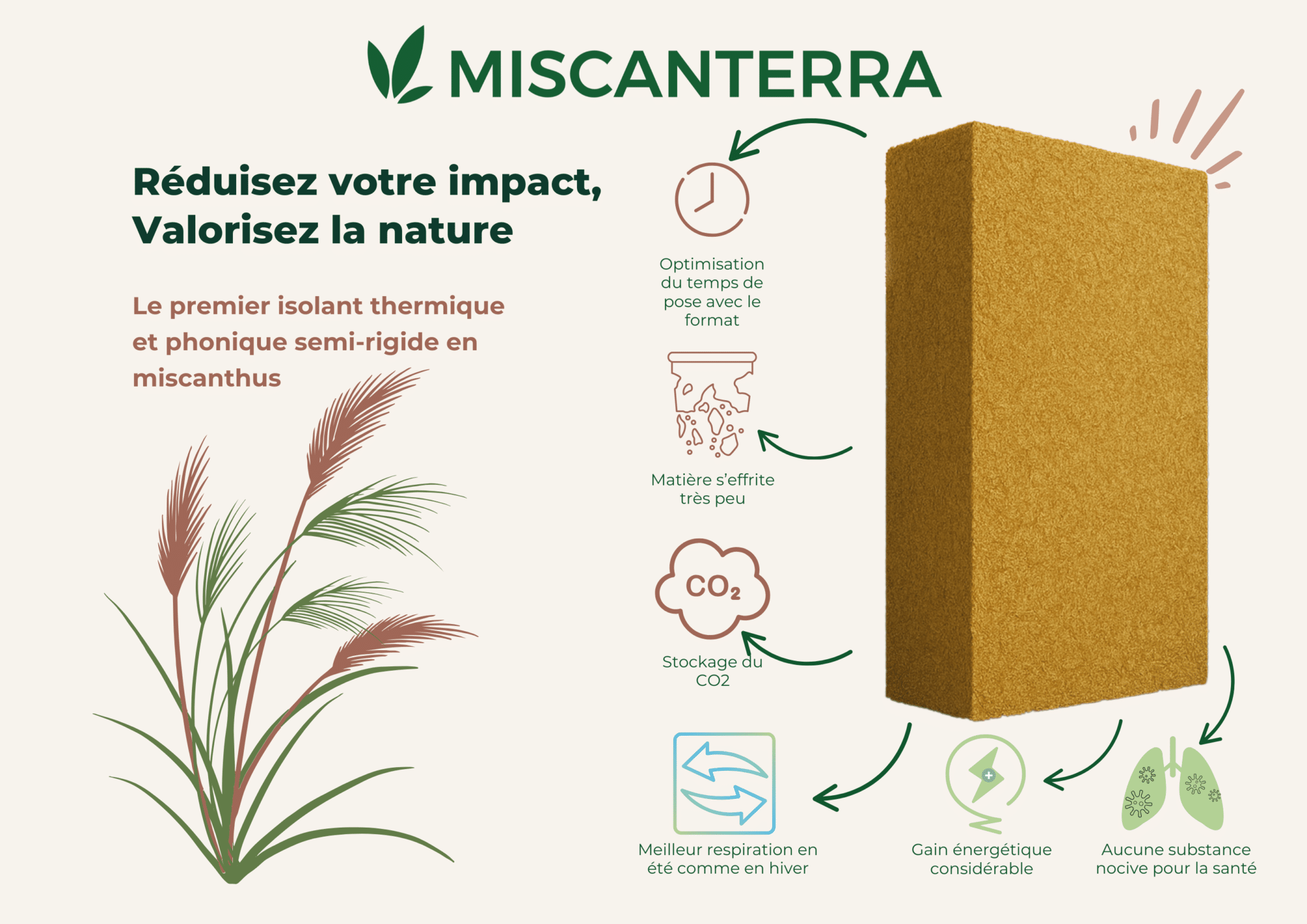 brique plante isolation