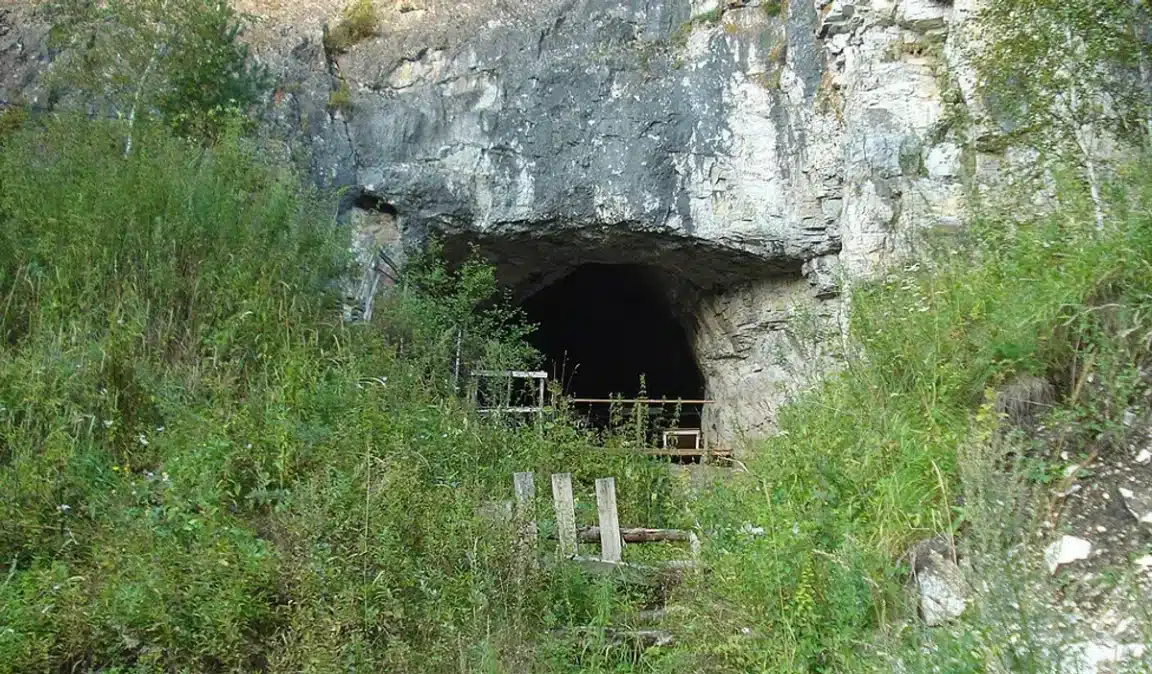 dénisoviens Américains