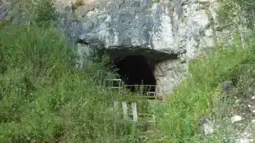 dénisoviens Américains