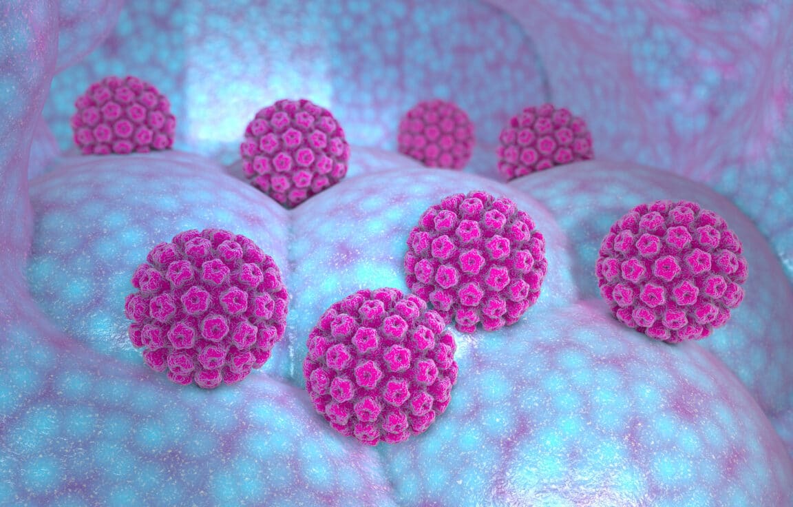 papillomavirus humains HPV