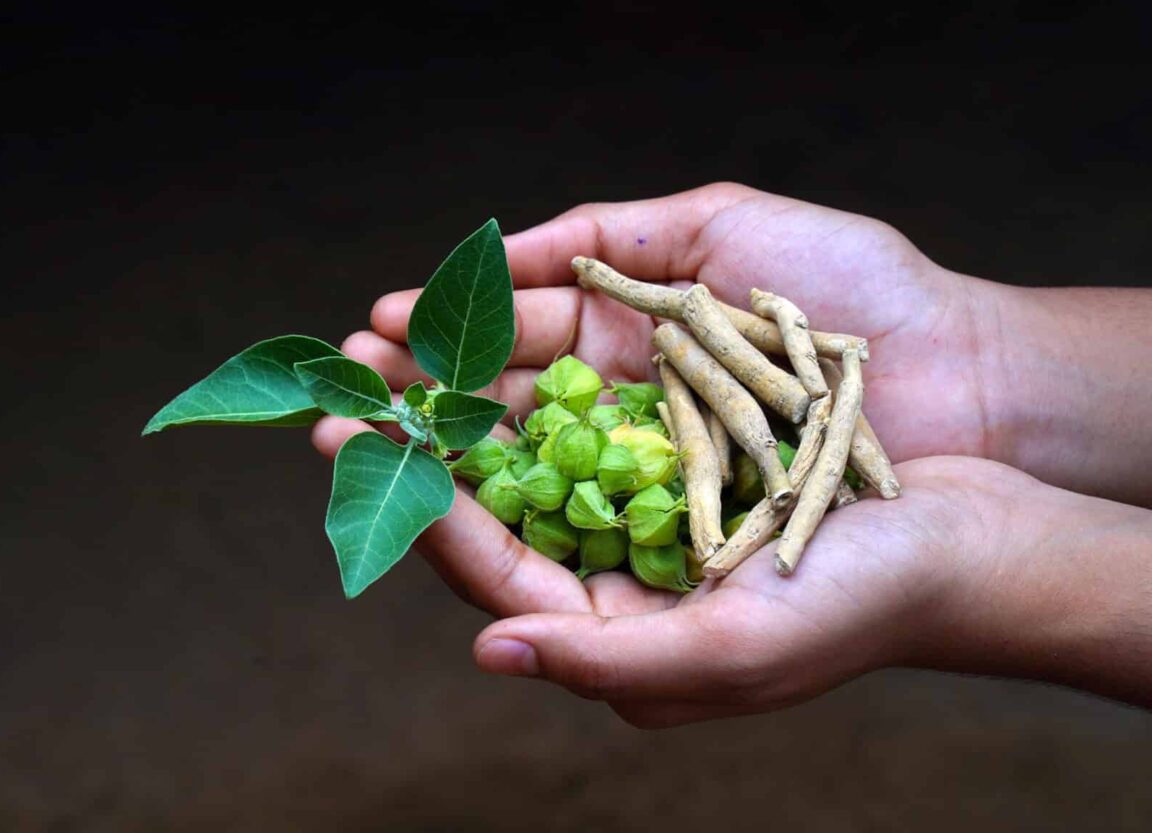 ashwagandha