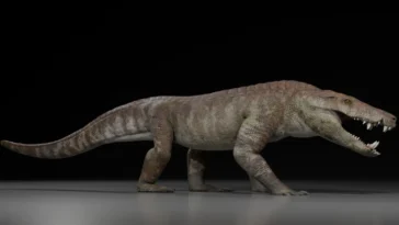 Kostensuchus atrox crocodile dinosaures