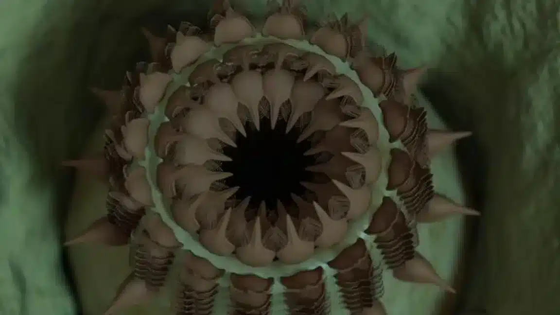 vers péniens Grand Canyon