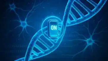 comportement mouche des fruits