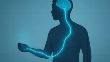 colonne vertébrale froid