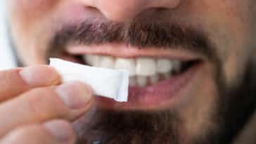 snus sans tabac nicotine sachet