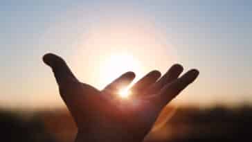 dextérité mains doigts cerveau