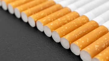 cigarettes filtres mégots