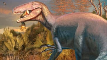 joaquinraptor dinosaure