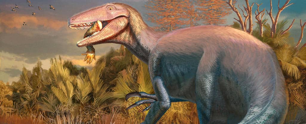 joaquinraptor dinosaure