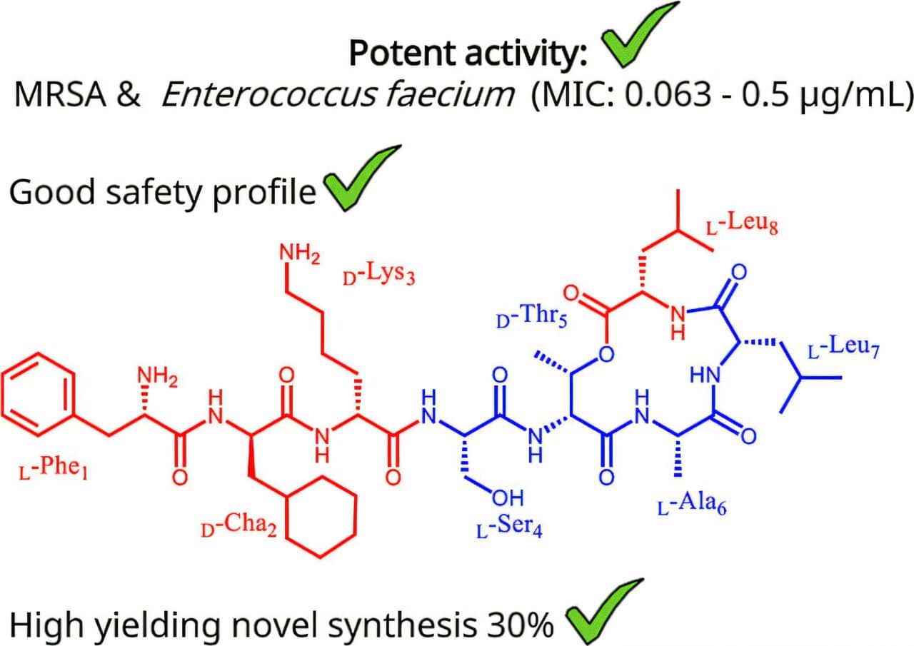 antibiotiques superbactéries Novltex