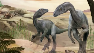 Huayracursor jaguensis dinosaure