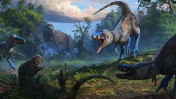 tyrannosaure T. Rex dinosaure