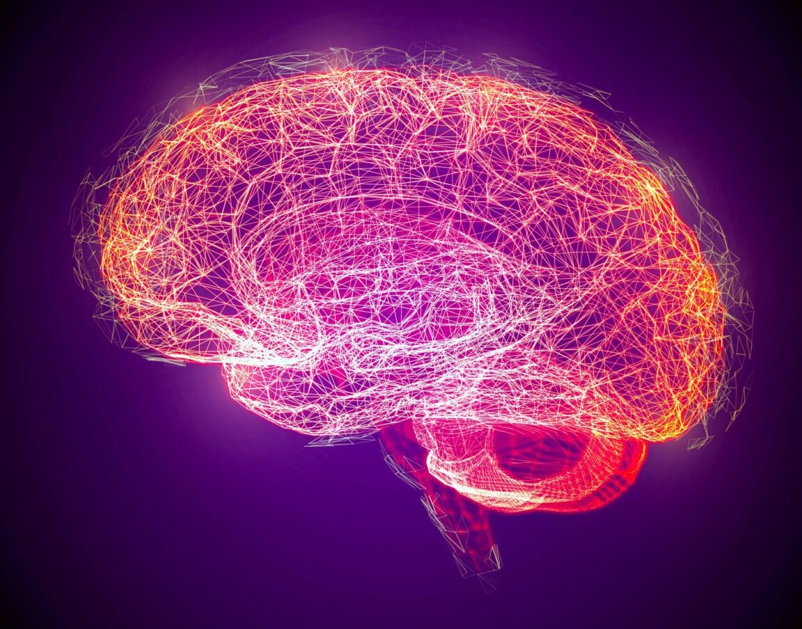 cerveau bonnes résolutions 2026