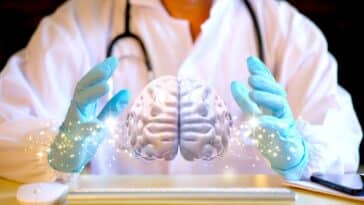 cerveau jumeau numérique