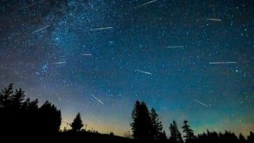 étoiles filantes Draconides