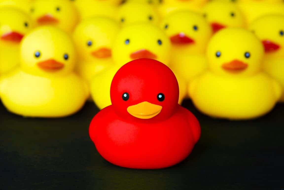 canard en caoutchouc