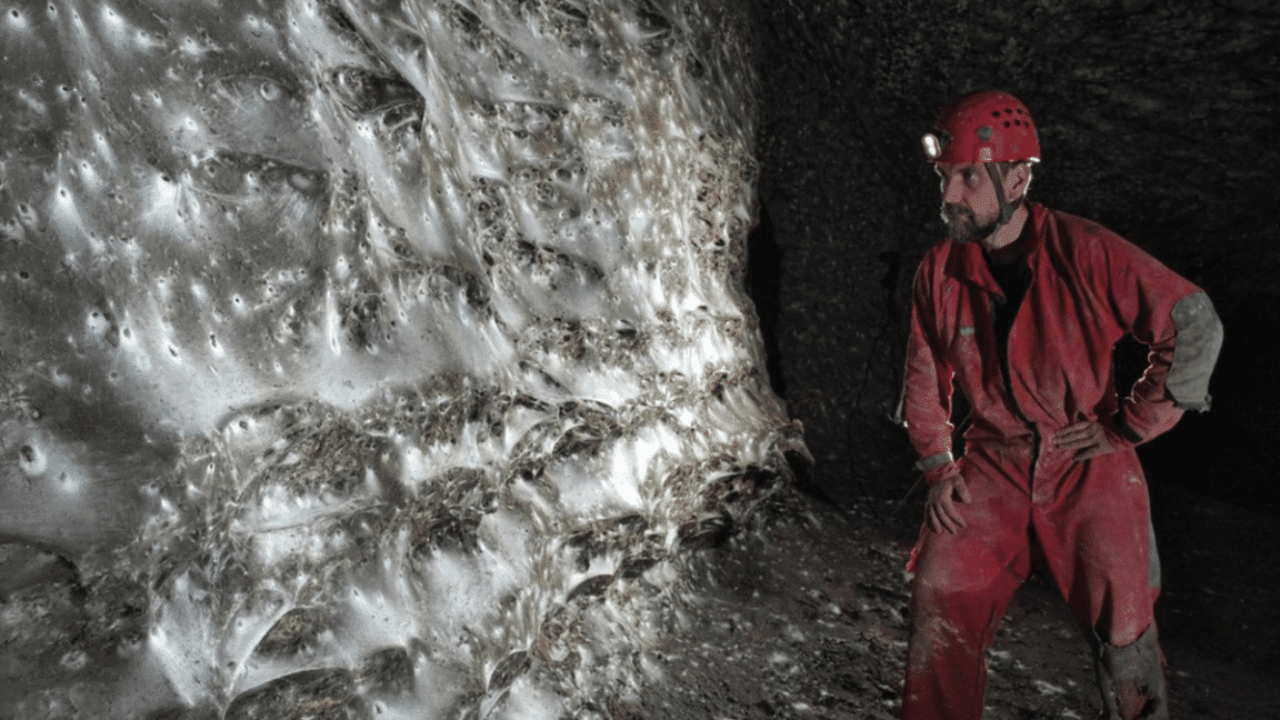 plus grande toile d'araignée du monde