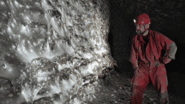 plus grande toile d'araignée du monde