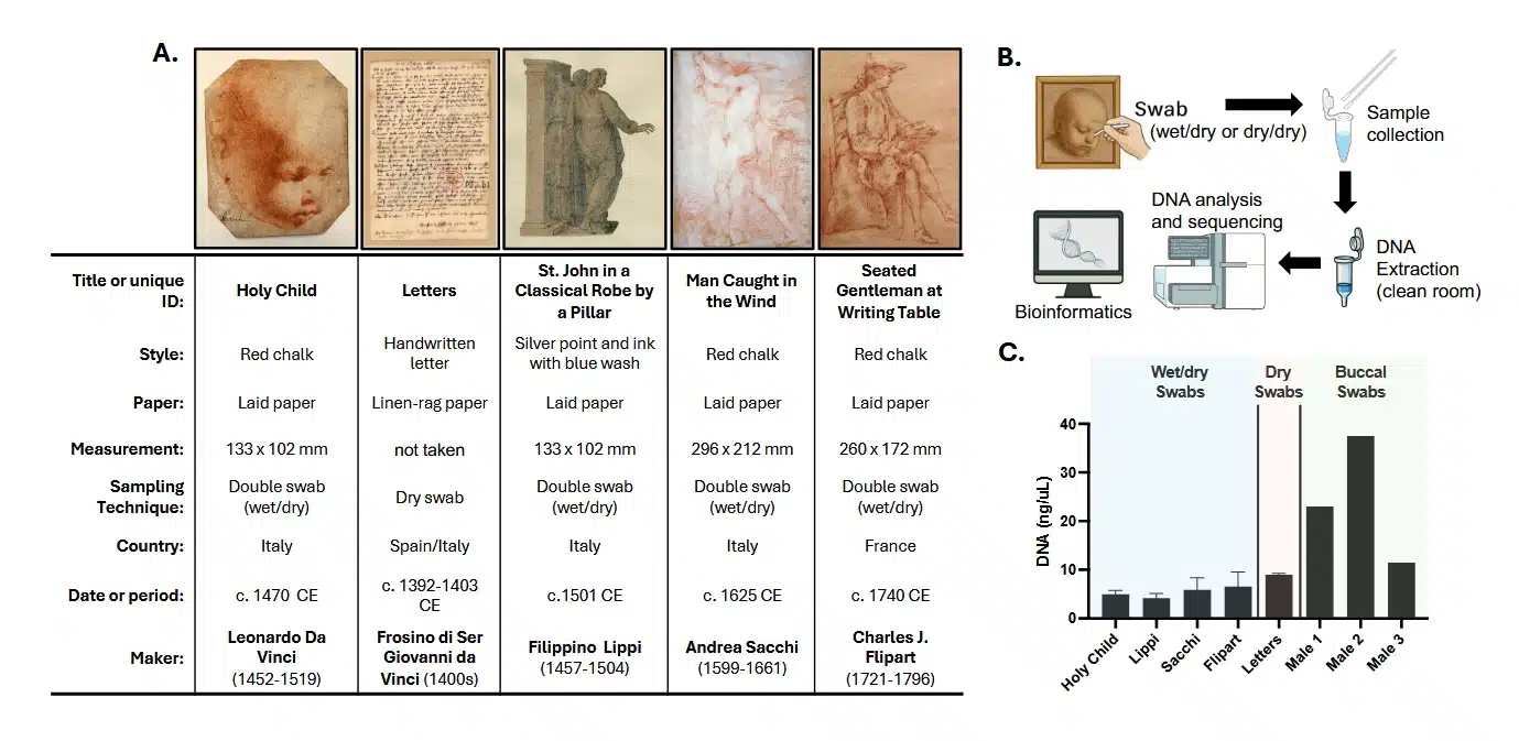 ADN Léonard de Vinci