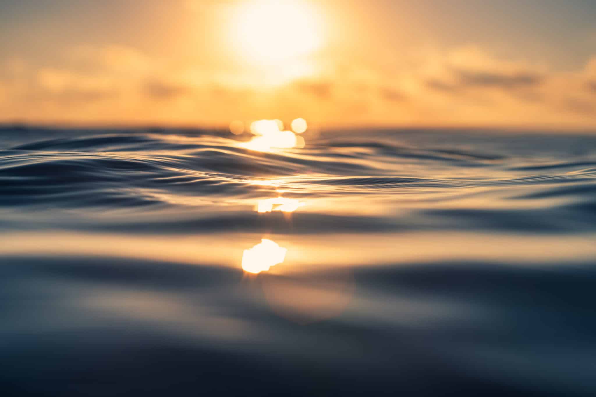 C’était le dernier « Far West » de la planète : dès ce 17 janvier, la moitié de la surface du globe change officiellement de propriétaire